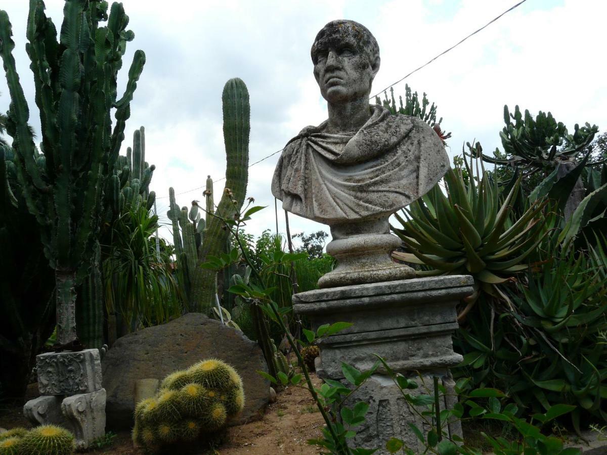 Villa Yucca Avola Luaran gambar