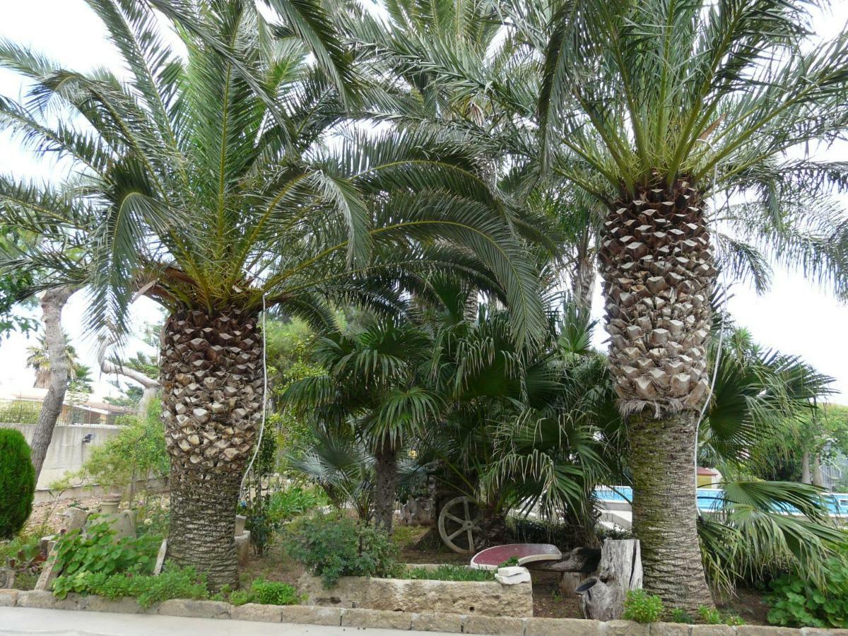 Villa Yucca Avola Luaran gambar