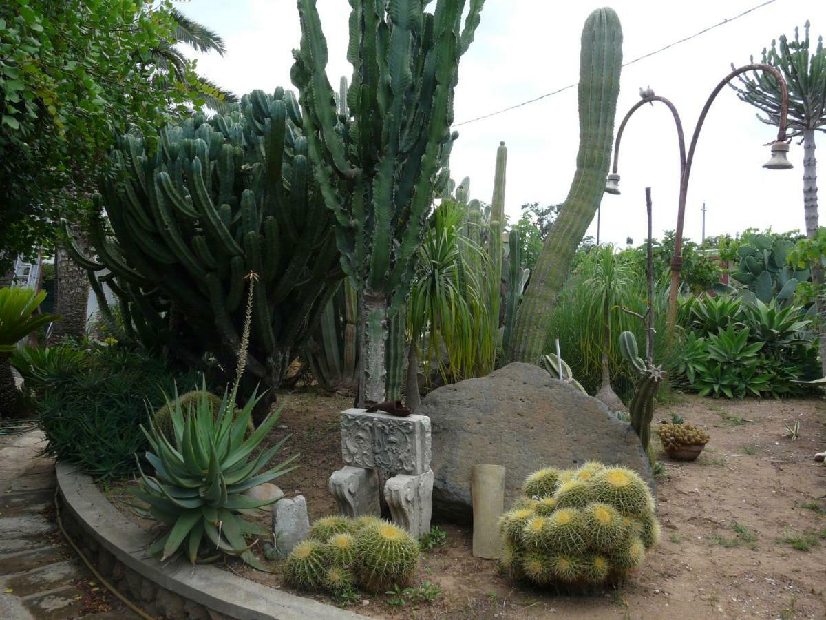 Villa Yucca Avola Luaran gambar