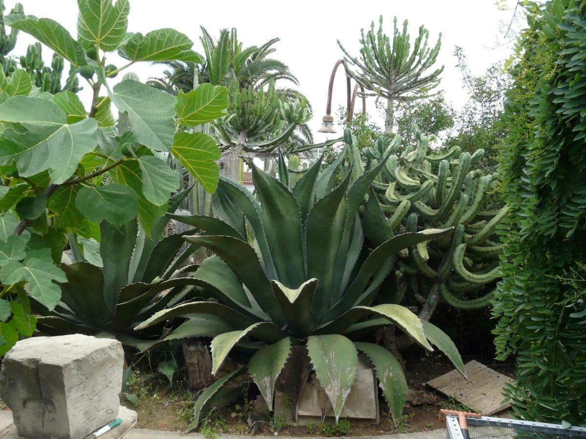 Villa Yucca Avola Luaran gambar